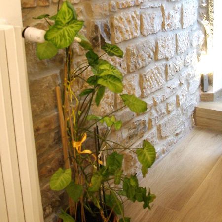 Il Casale Del Borgo Bed & Breakfast Cancellara Exterior photo